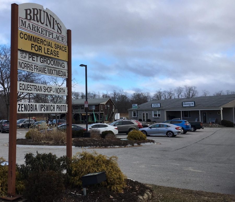 What is the Bruni Project? Tiger Transcript