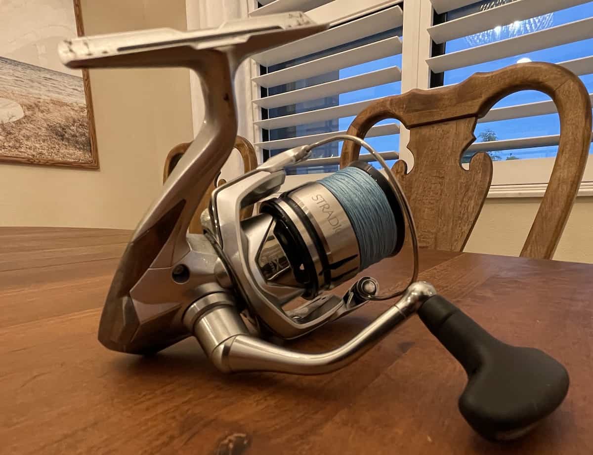 Best Spinning Reels For Saltwater Buying Guide and