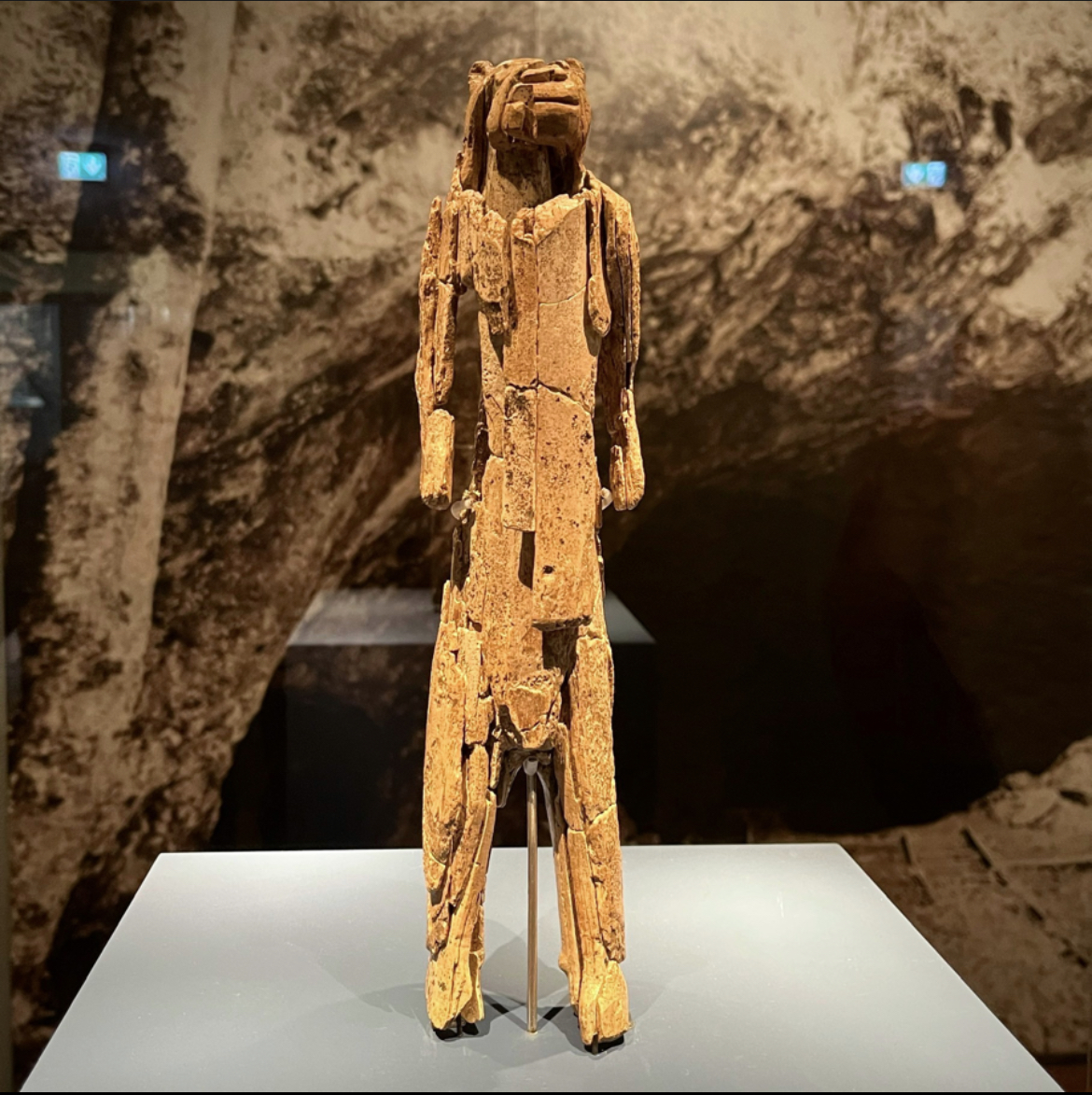 Tracking the Lion Man tikichristikichris