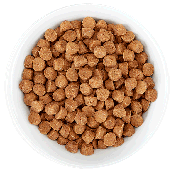 Tiki Cat Born Carnivore High Protein Dry Cat Food Tiki Pets