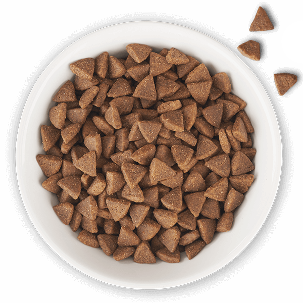 Indoor Health Chicken & Turkey Meal Recipe Tiki Pets