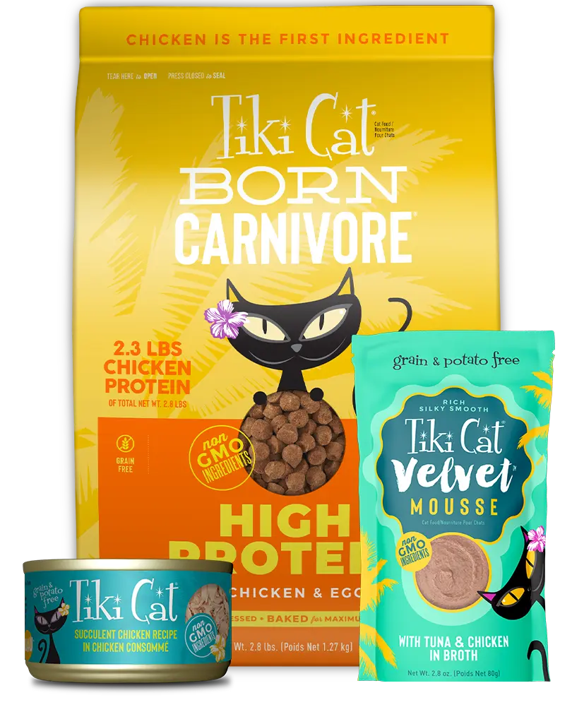 Tiki Cat Food & Treats Tiki Pets Say Aloha to Real Food
