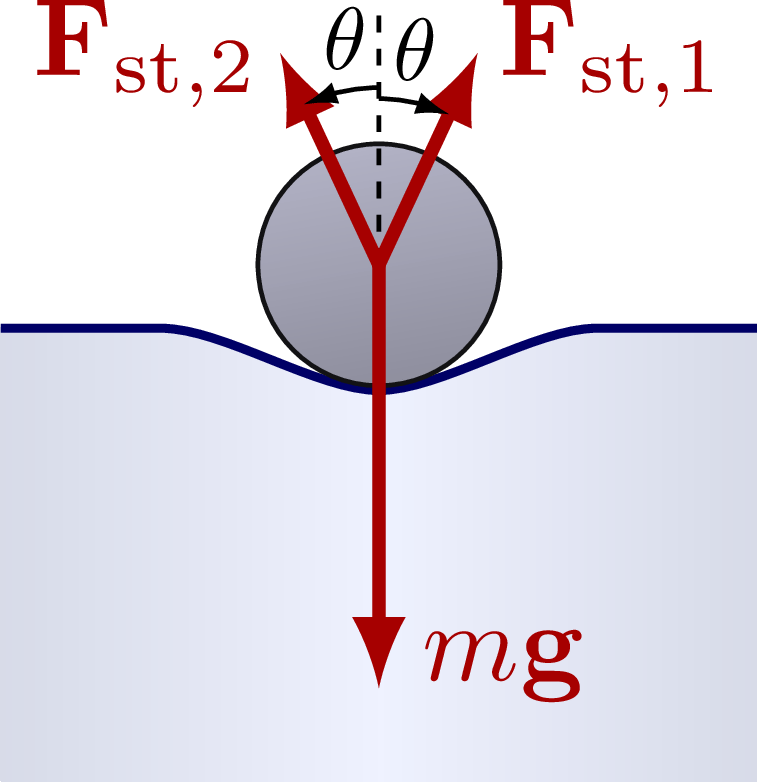 Surface tension & capillary action