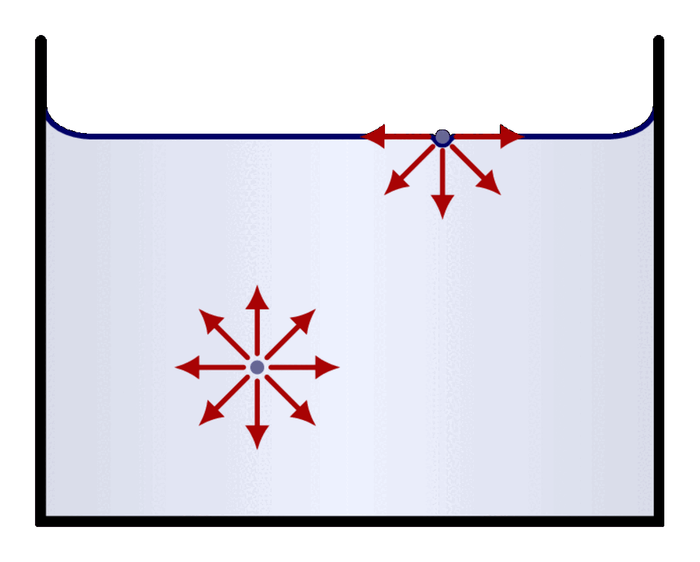 Surface tension & capillary action