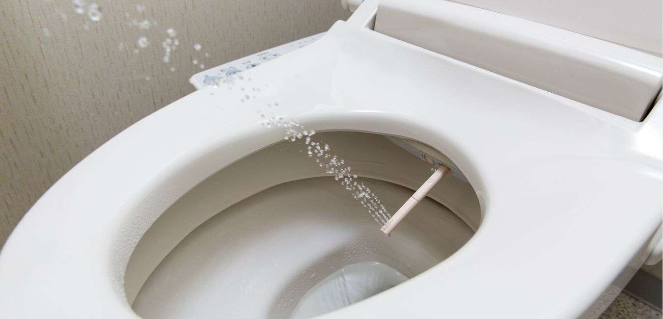 Get Complete History, Features And Origin of the Bidet