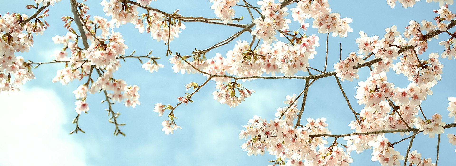 Home Tilghman Funeral Home located in New Egypt, NJ