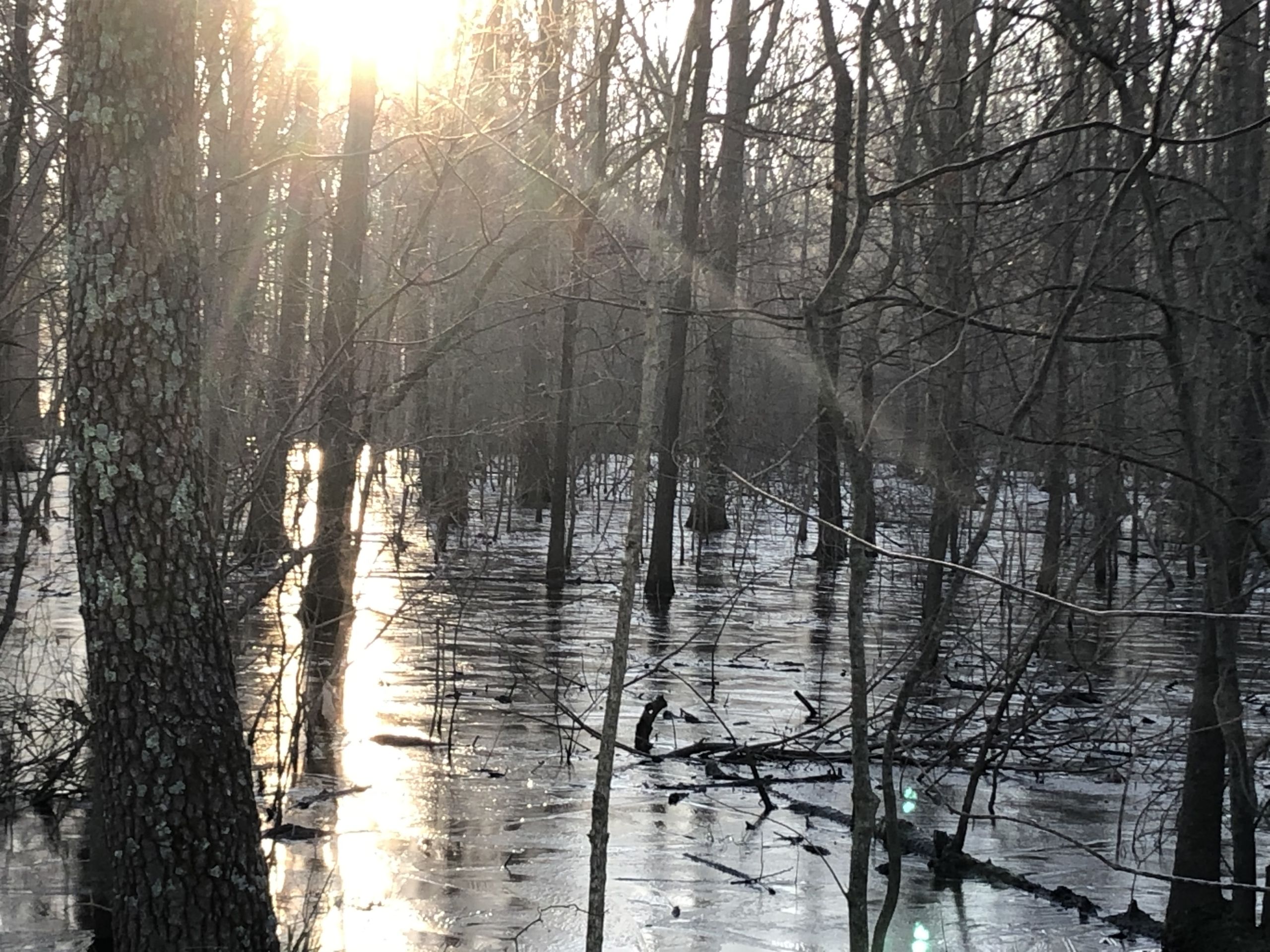 Bartholomew Farm Tiller Land