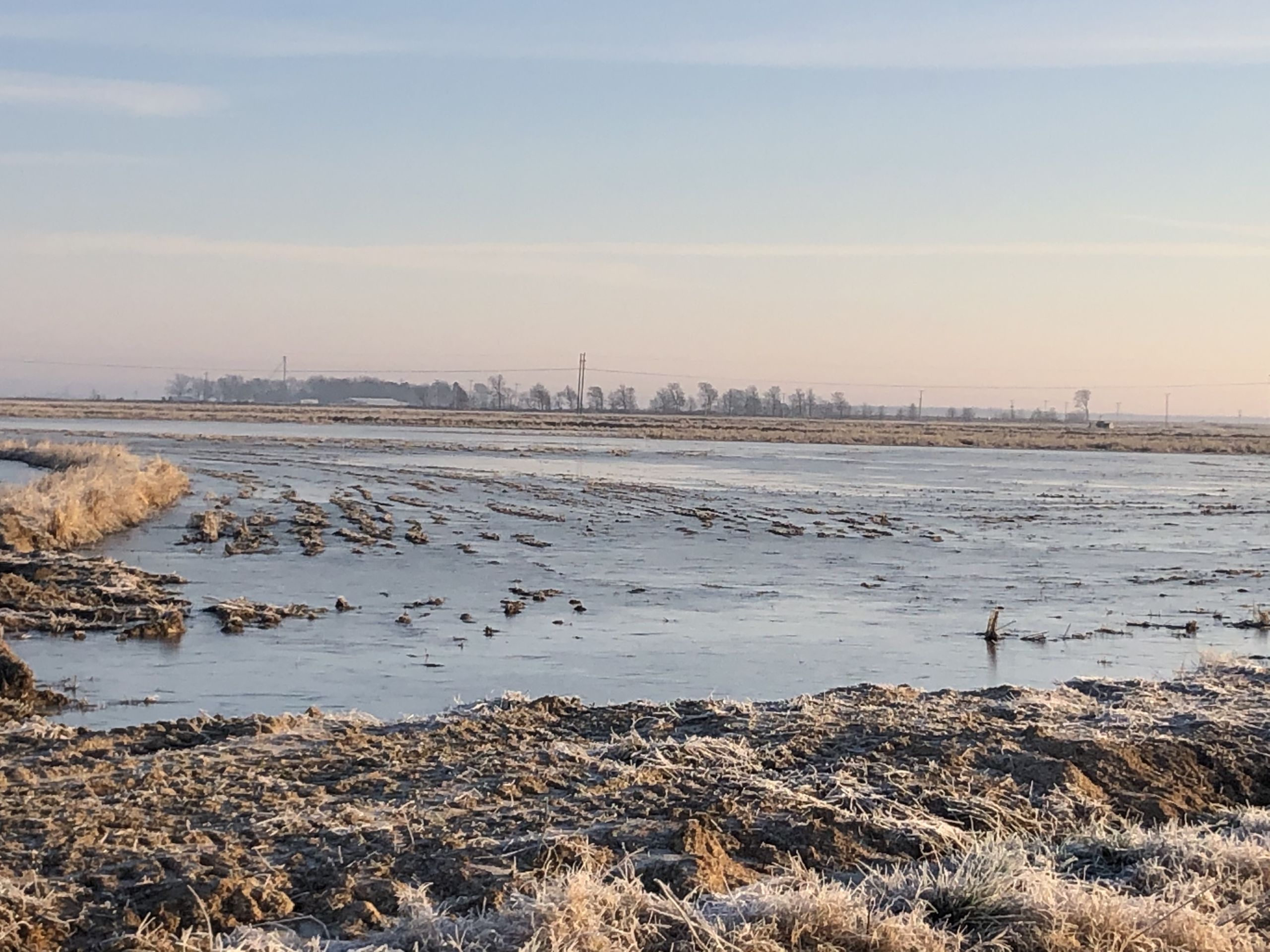 Bartholomew Farm Tiller Land