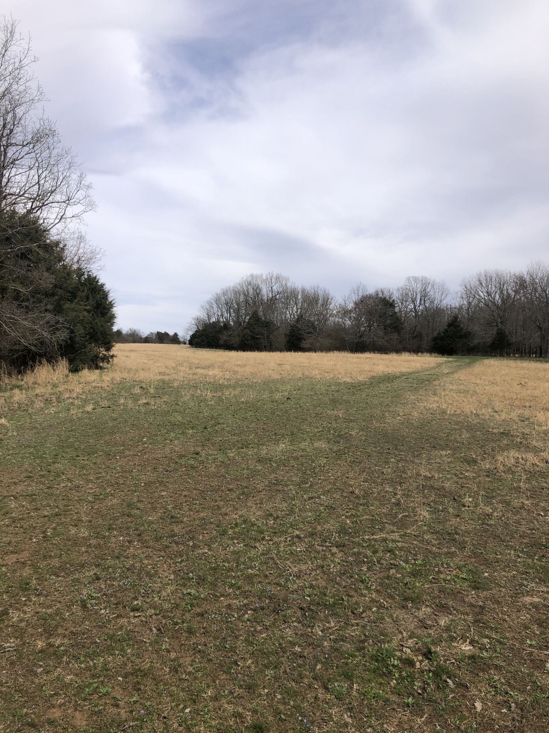 The Batesville 199 Farm Tiller Land