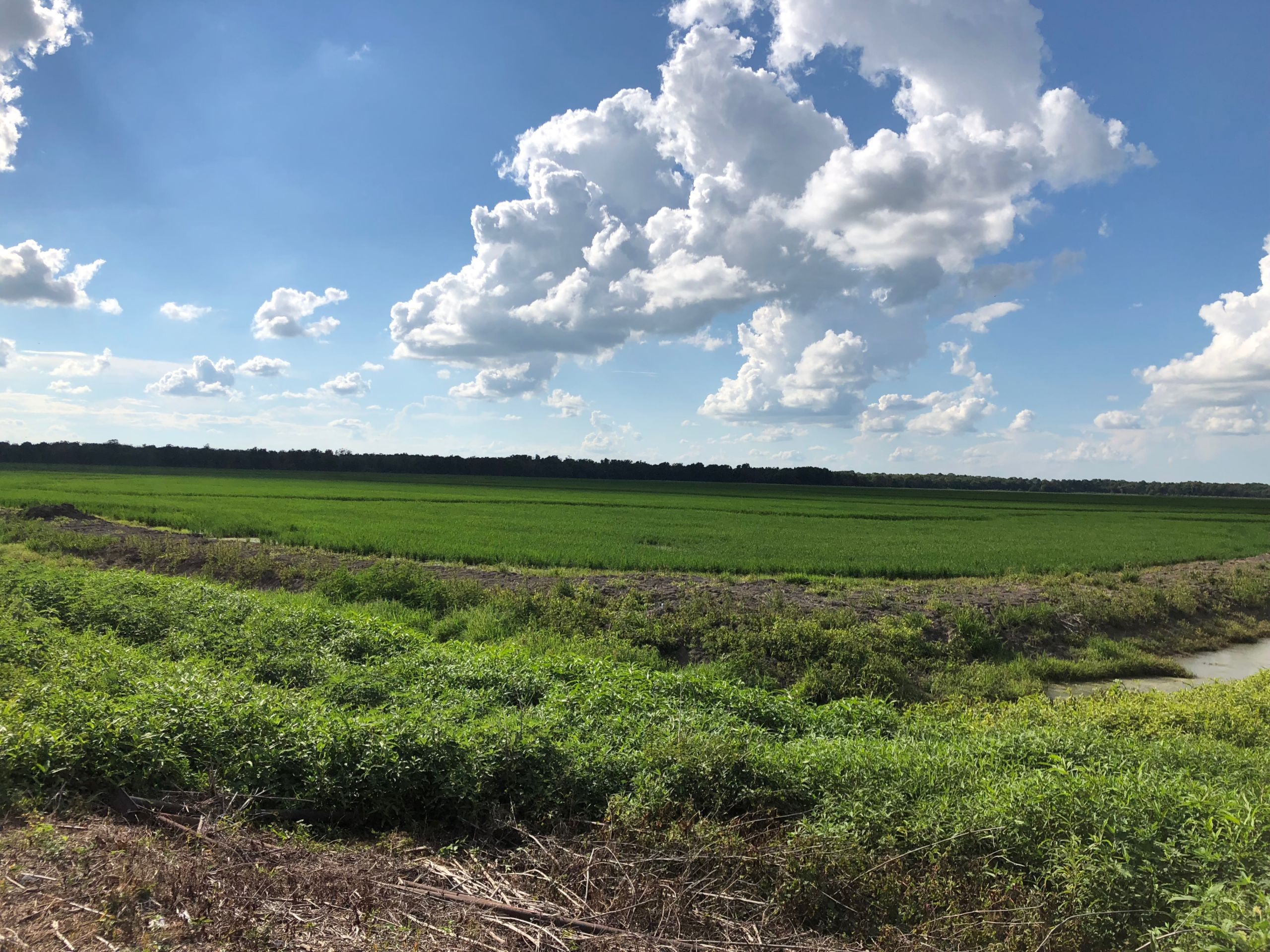 The Fisher Farm Tiller Land