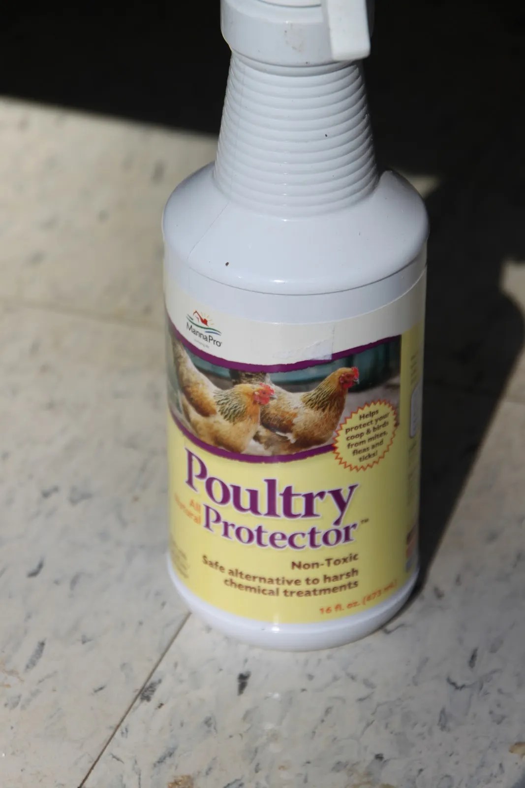 How To Clean the Chicken Coop Tilly's Nest