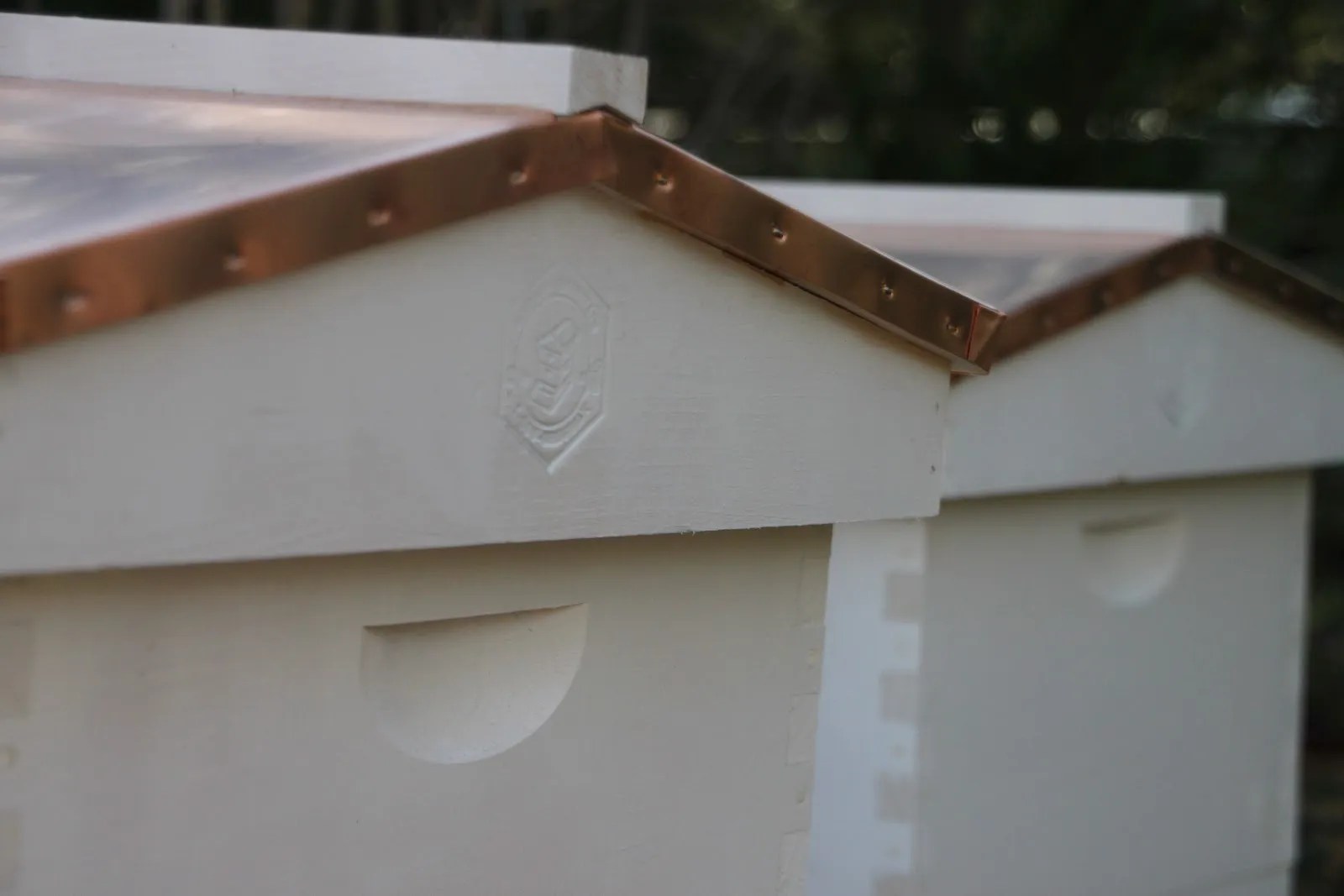 Placement of the Beehives Tilly's Nest