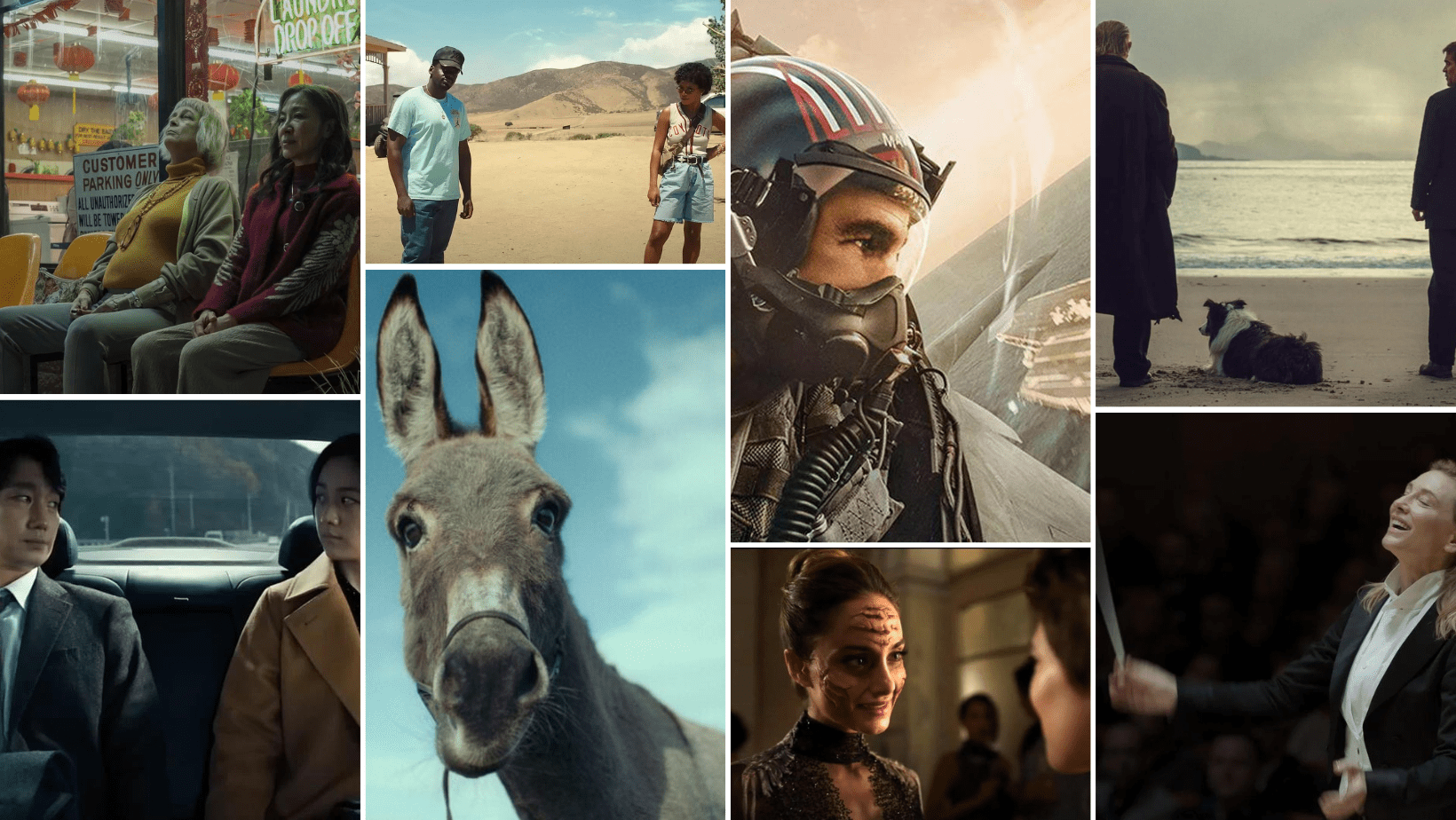 The 20 Best Movies of 2022 Tilt Magazine