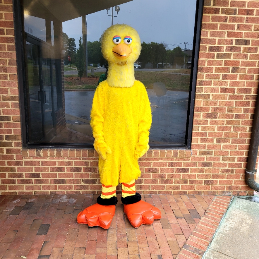 Big Bird The Tilted Stage Costume Shoppe