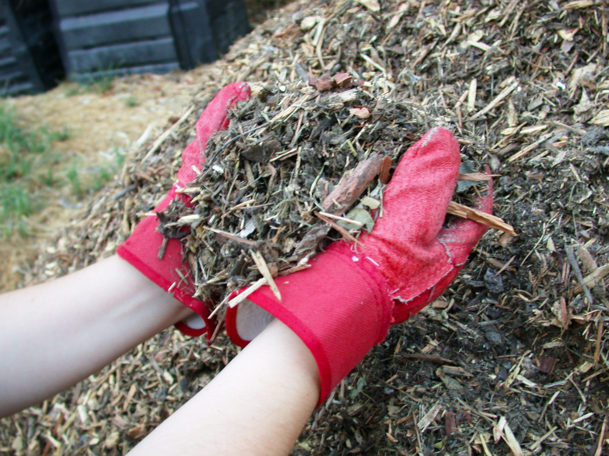 What is Mulch? Tilth Alliance