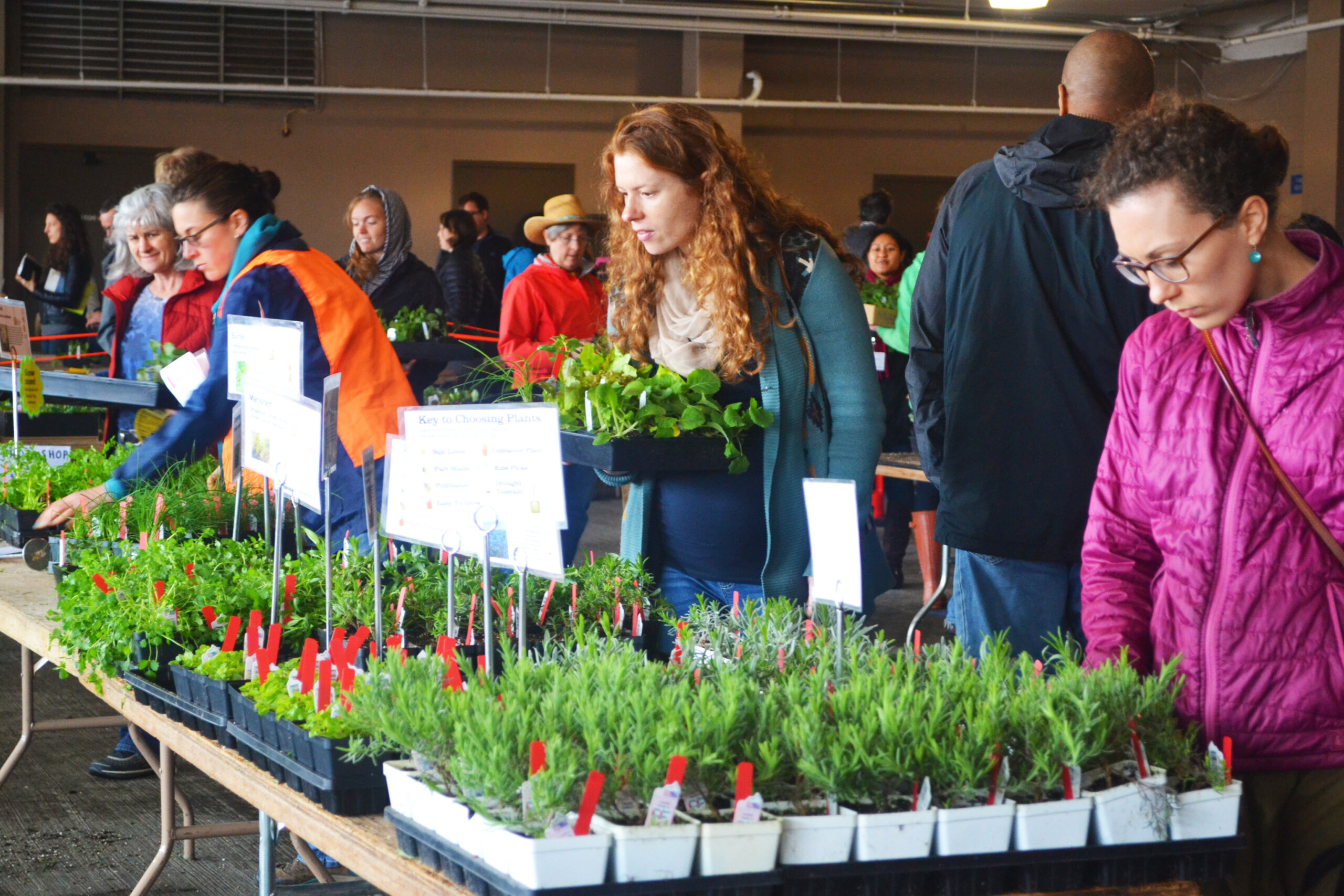 March Edible Plant Sale Tilth Alliance
