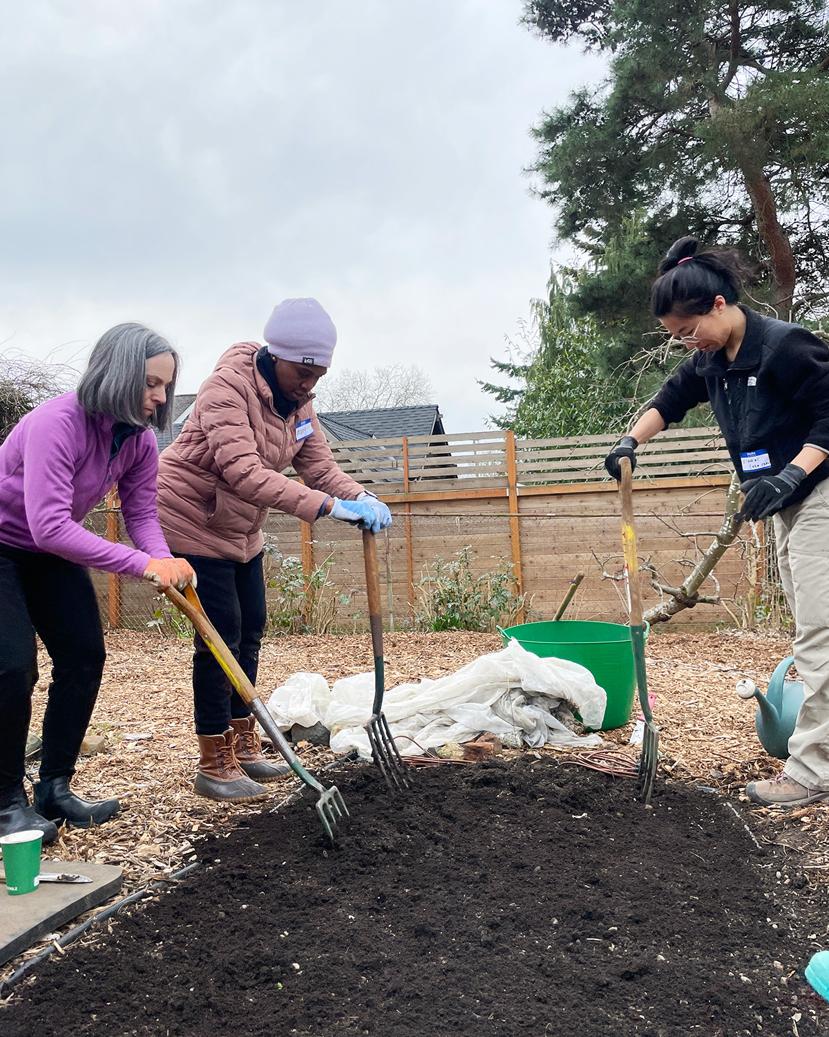 Preparing Spring Garden Beds Tilth Alliance