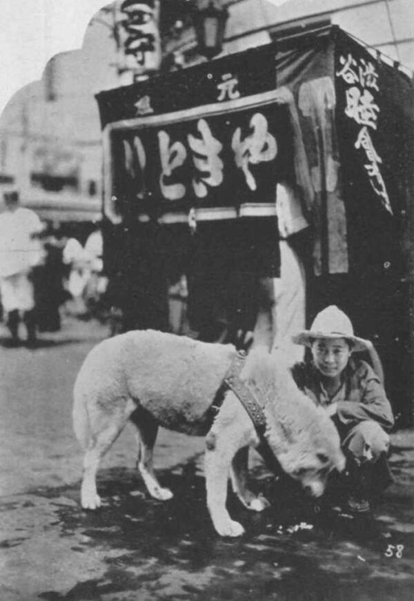 The Heartbreaking True Story Of Hachikō, The World’s Most Loyal Dog