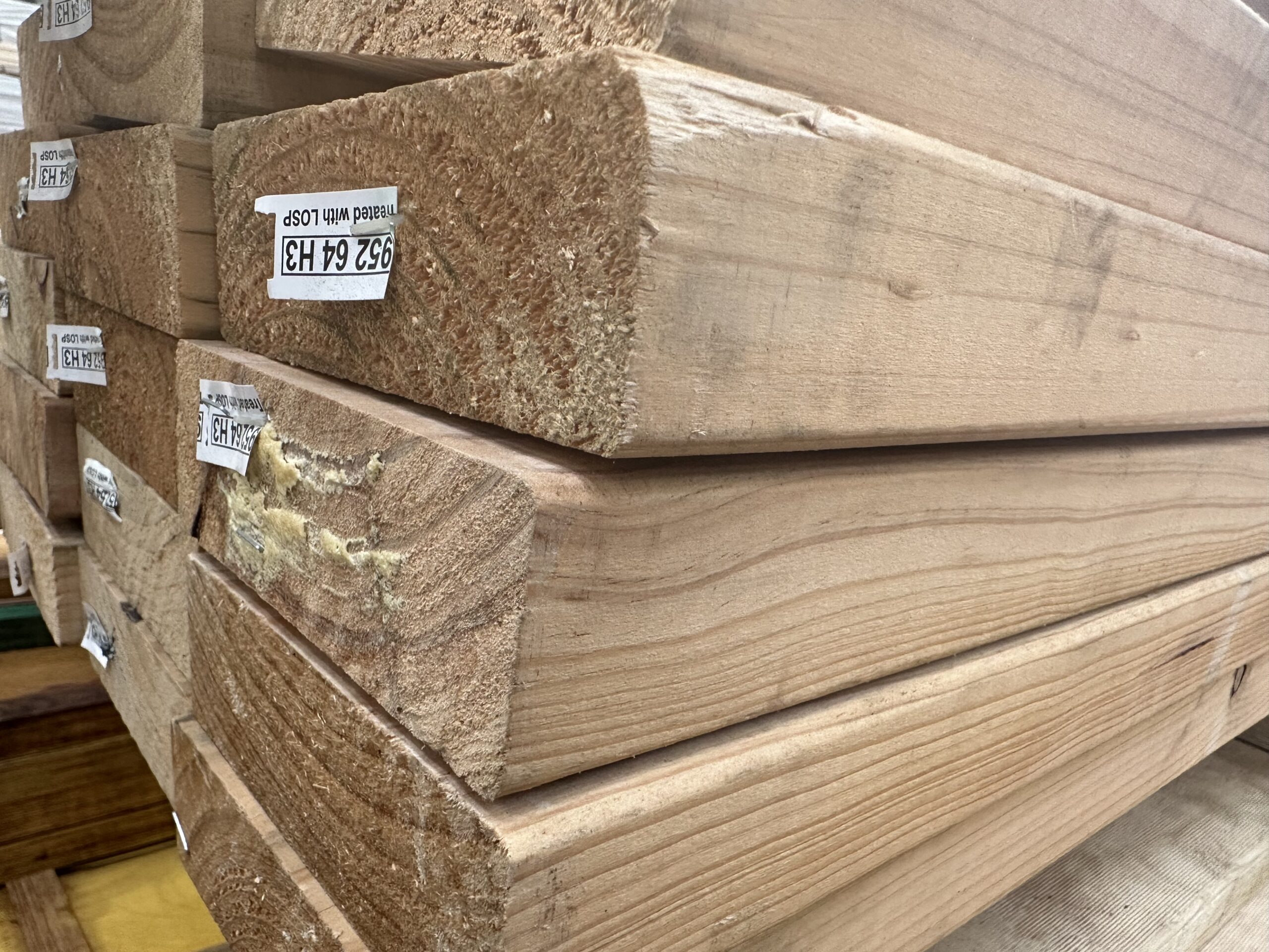 Is H3 Treated Pine Safe For Chickens at Anna Kovacs blog