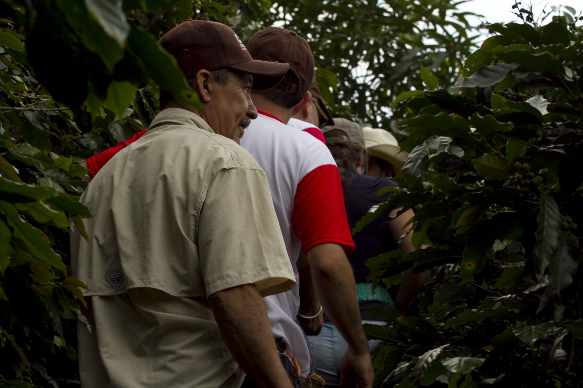 The WORLD'S most sustainable coffee? SLOKOFFIE. Timbercoast