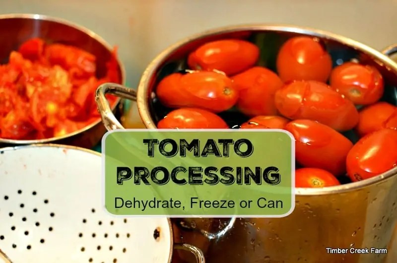 Tomato Processing Canning Freezing Dehydrating Timber Creek Farm
