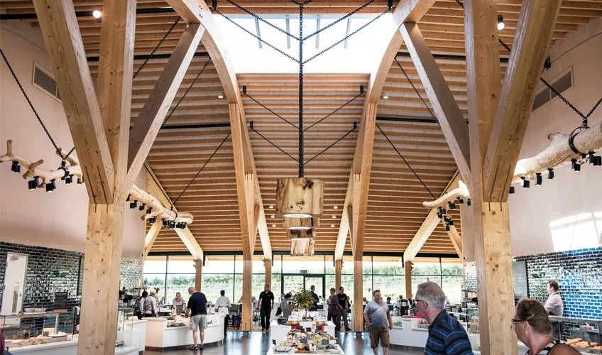 Gloucester Services Timber Development UK