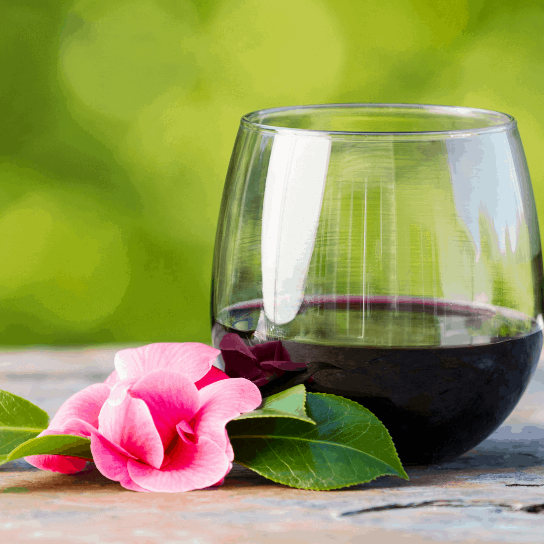 Timber Hill’s Best Wines for Sipping in Spring Timber Hill Winery