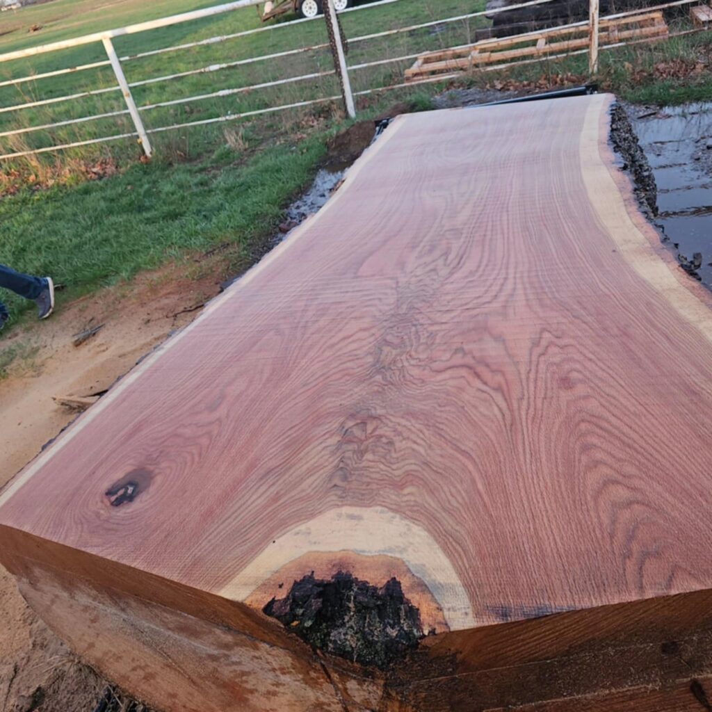 HOW TO CUT 5FOOTWIDE SLABS with a TimberKing Sawmill TimberKing