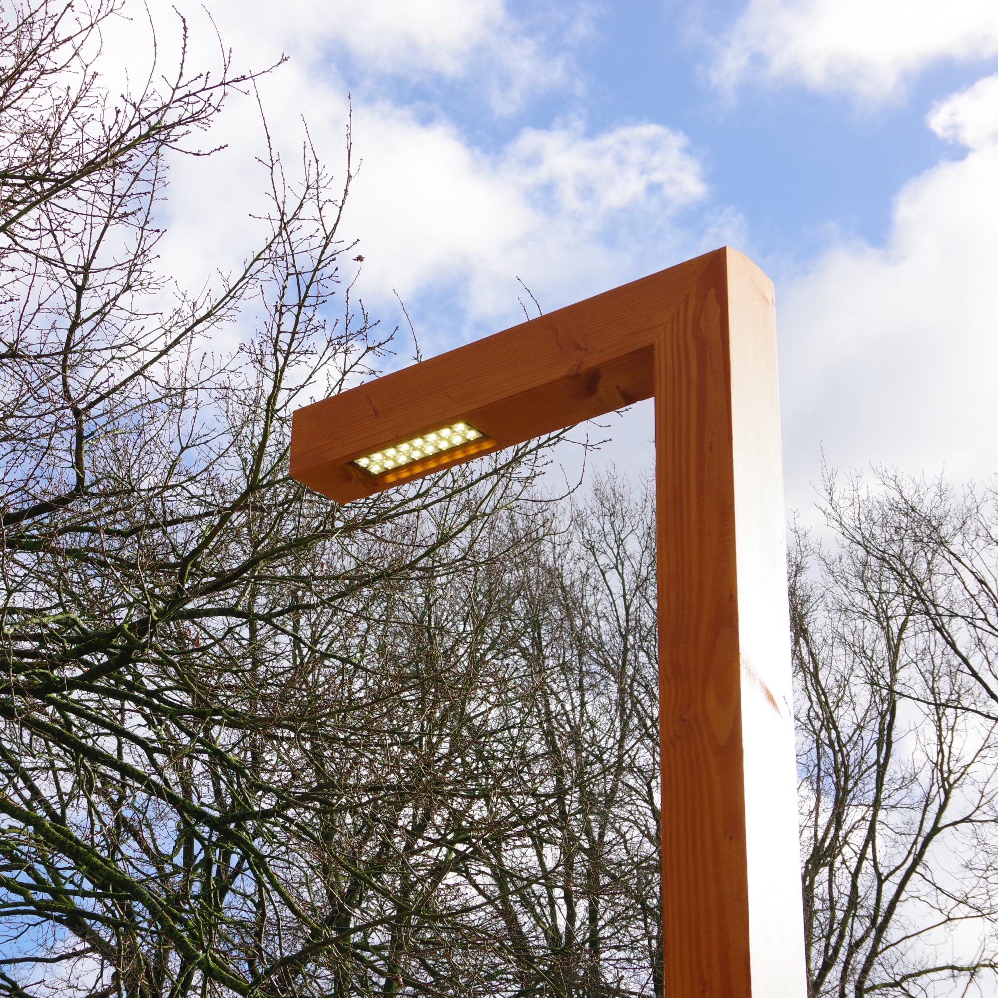 Light poles Timberlab