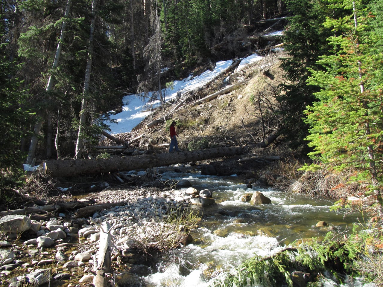 Gallery Timber Lakes