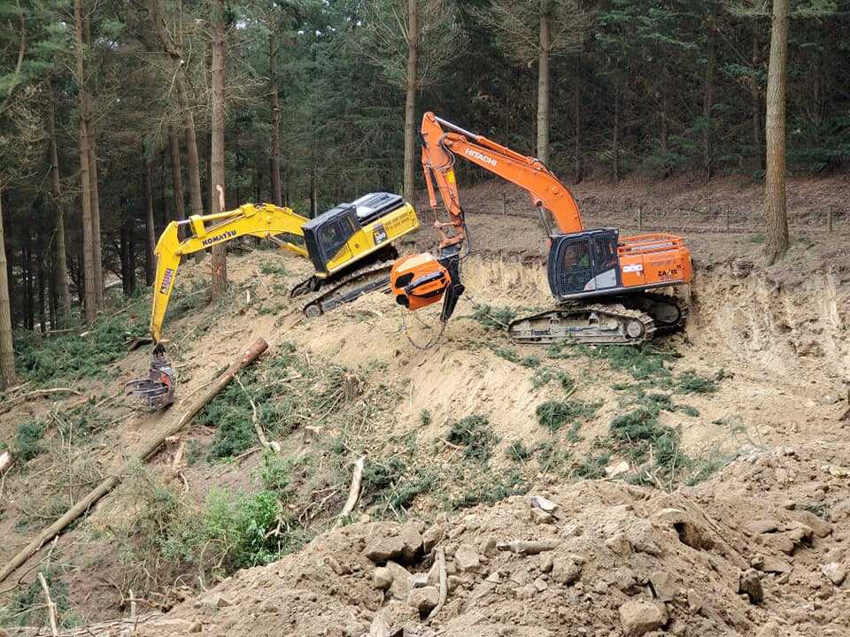 T20 Products Timbermax