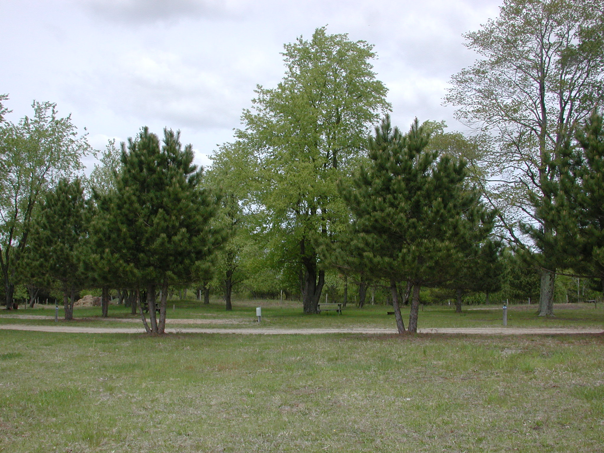 Timbers Edge Site 12 Page