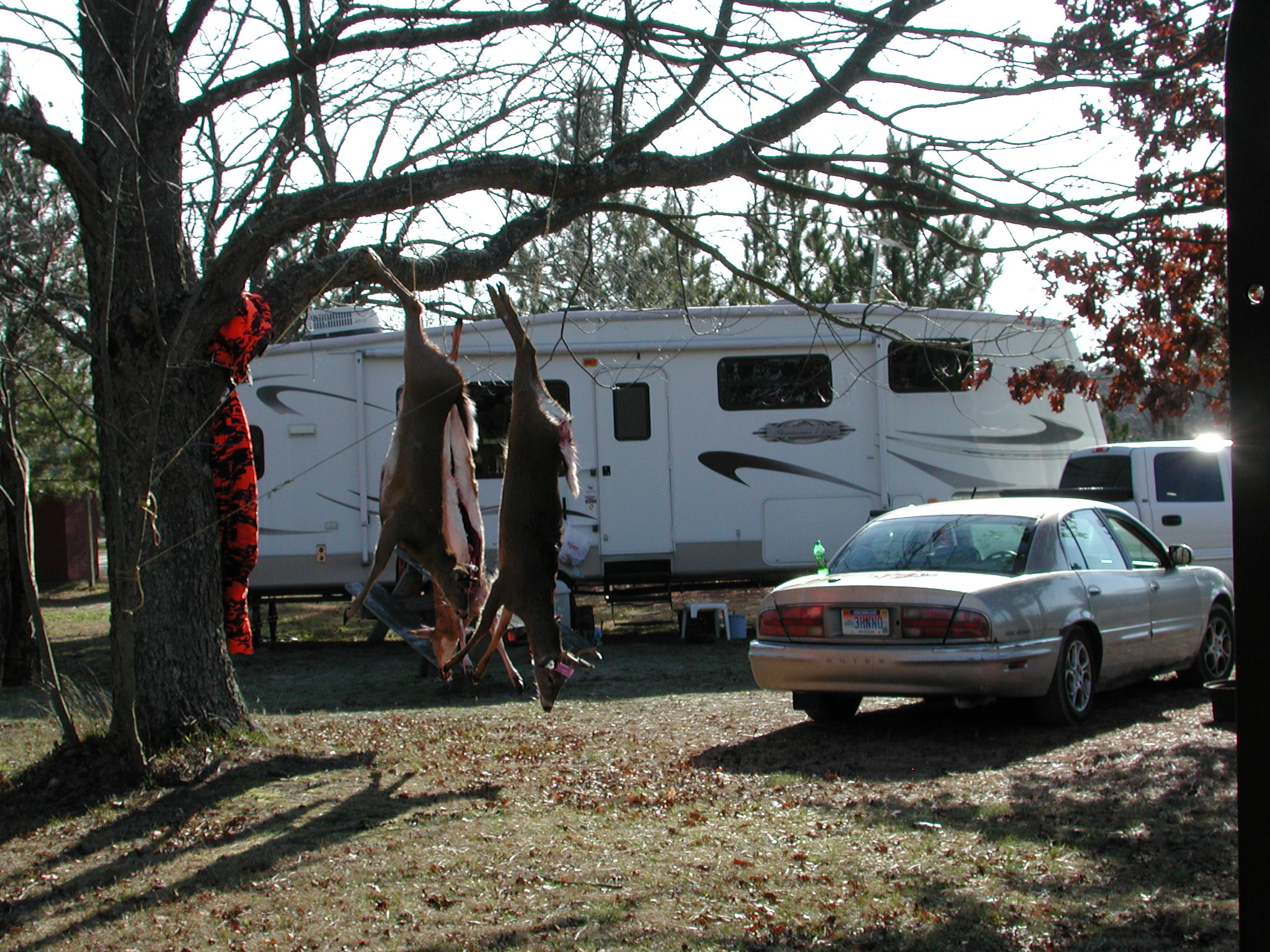 Timbers Edge Site 16 Page