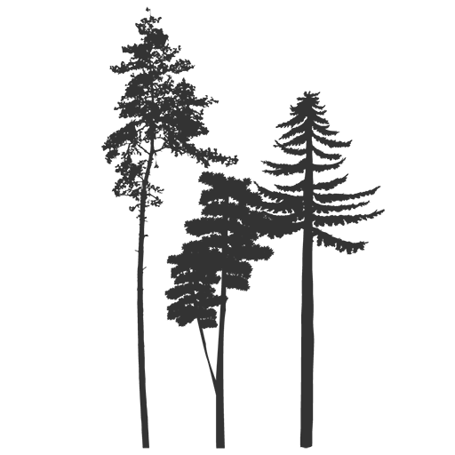 Land for sale in Montana with water The Timbers on Alkali Creek