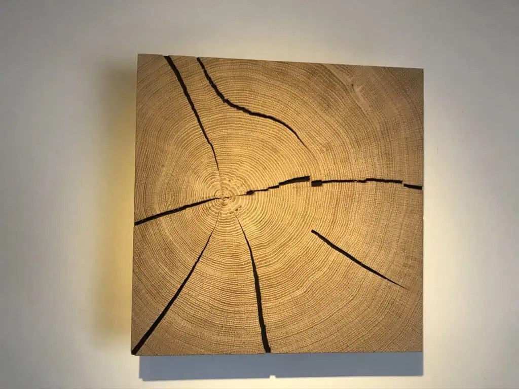 Wandlampe selber bauen Wandlampe aus Hirnholz Baumscheibe