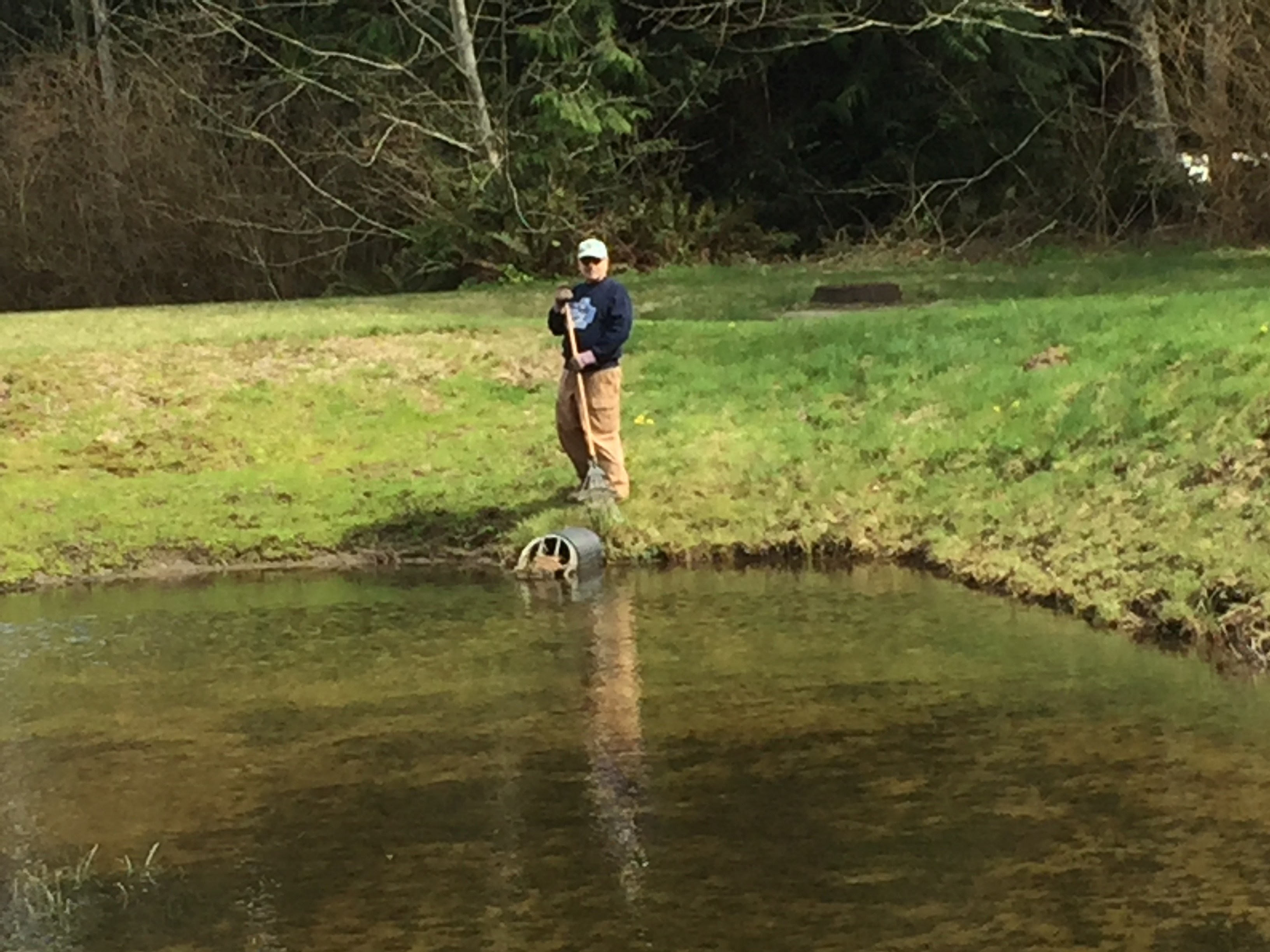 Community Cleanup Pictures Timberton Village Home Owners Assocation
