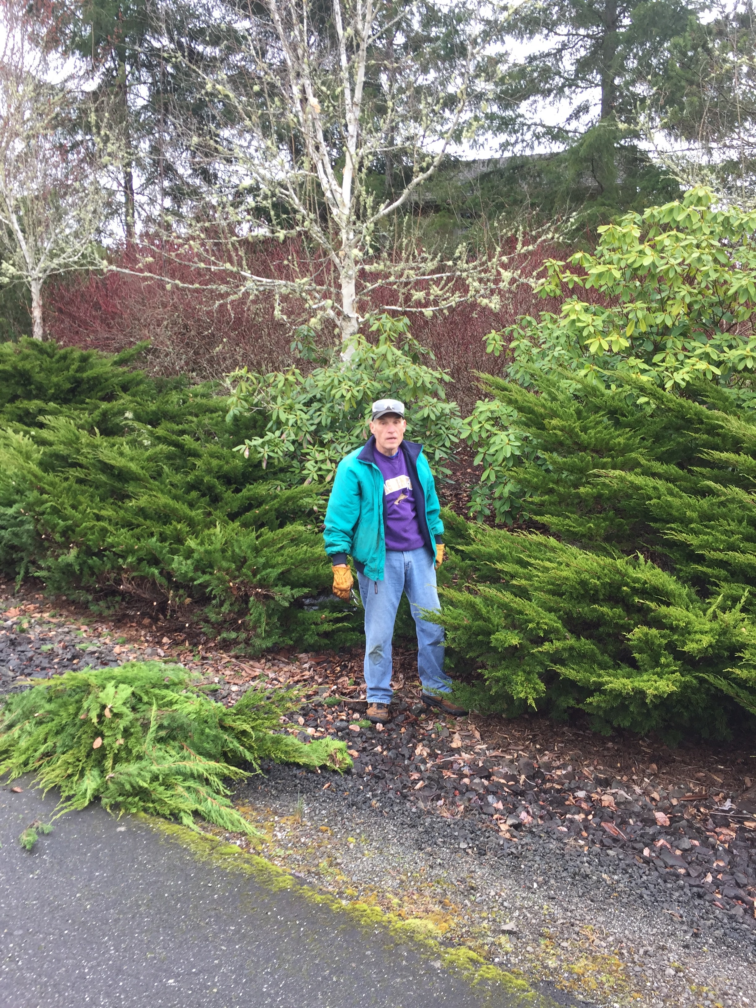 Community Cleanup Pictures Timberton Village Home Owners Assocation