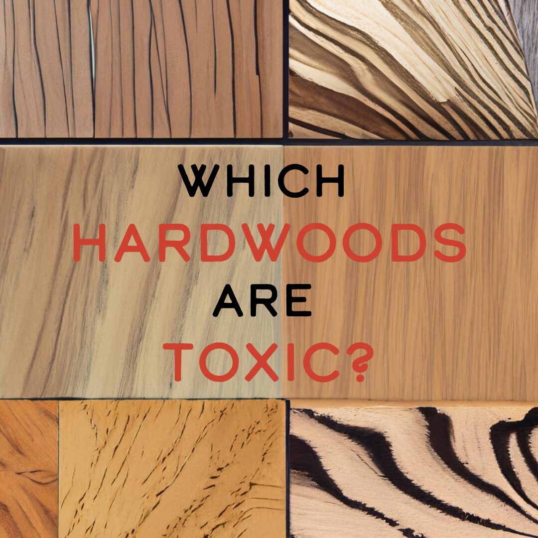 How to Determine if Hardwood is Toxic for Woodworking Timber Topia