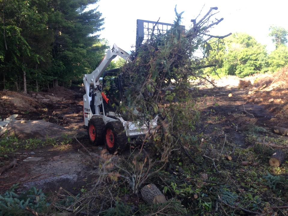 Timber Top Tree Timber Top Tree, LLC