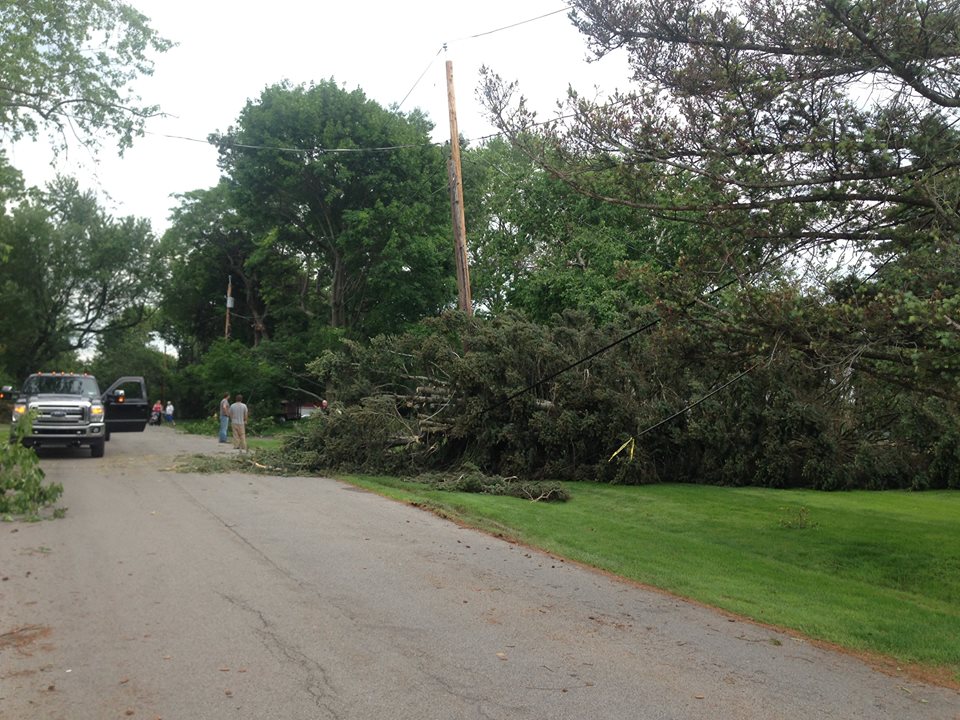 Timber Top Tree Timber Top Tree, LLC