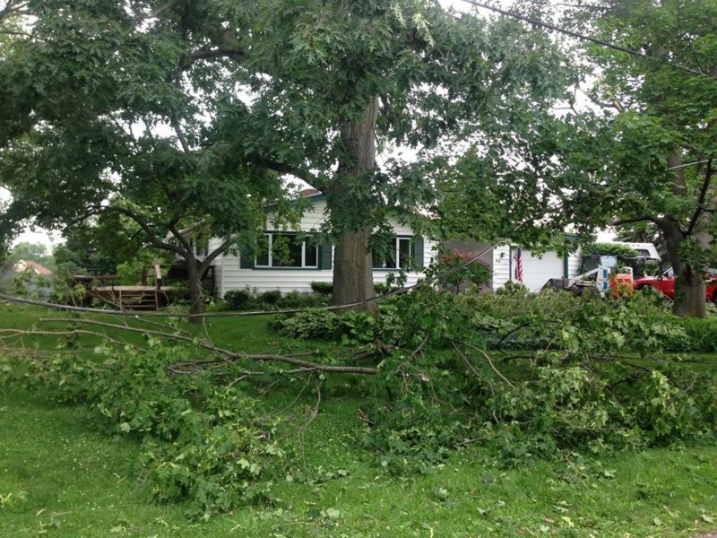 Timber Top Tree Timber Top Tree, LLC