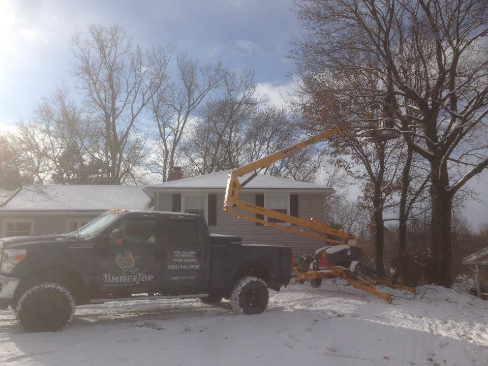 Timber Top Tree Timber Top Tree, LLC
