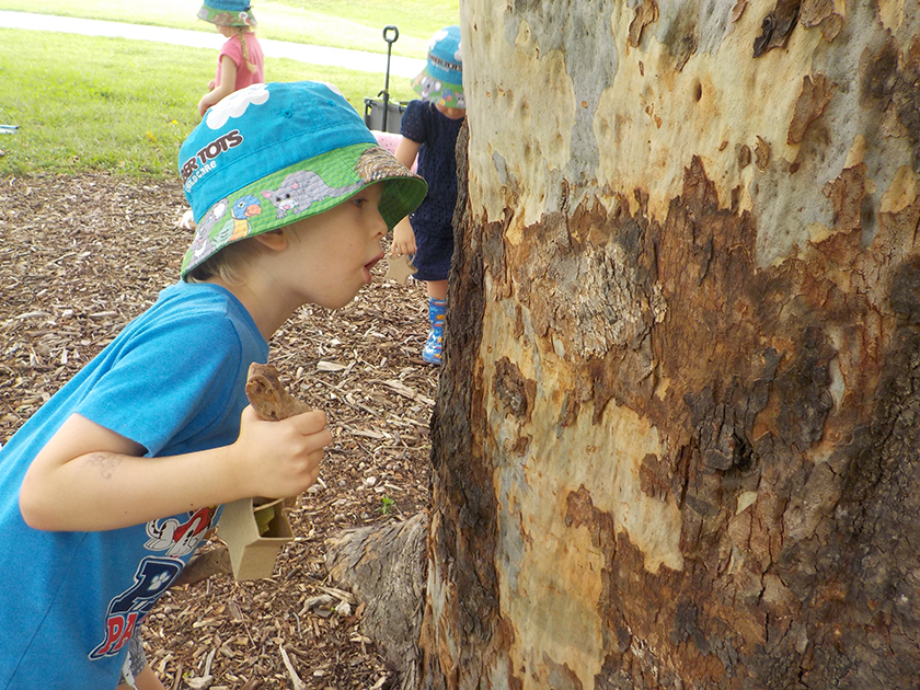 Education Beyond the Fence Timber Tots Child Care