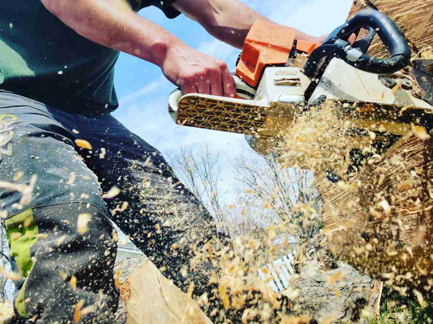 Tree Cabling 101 Affordable Tree Service Ashville VA