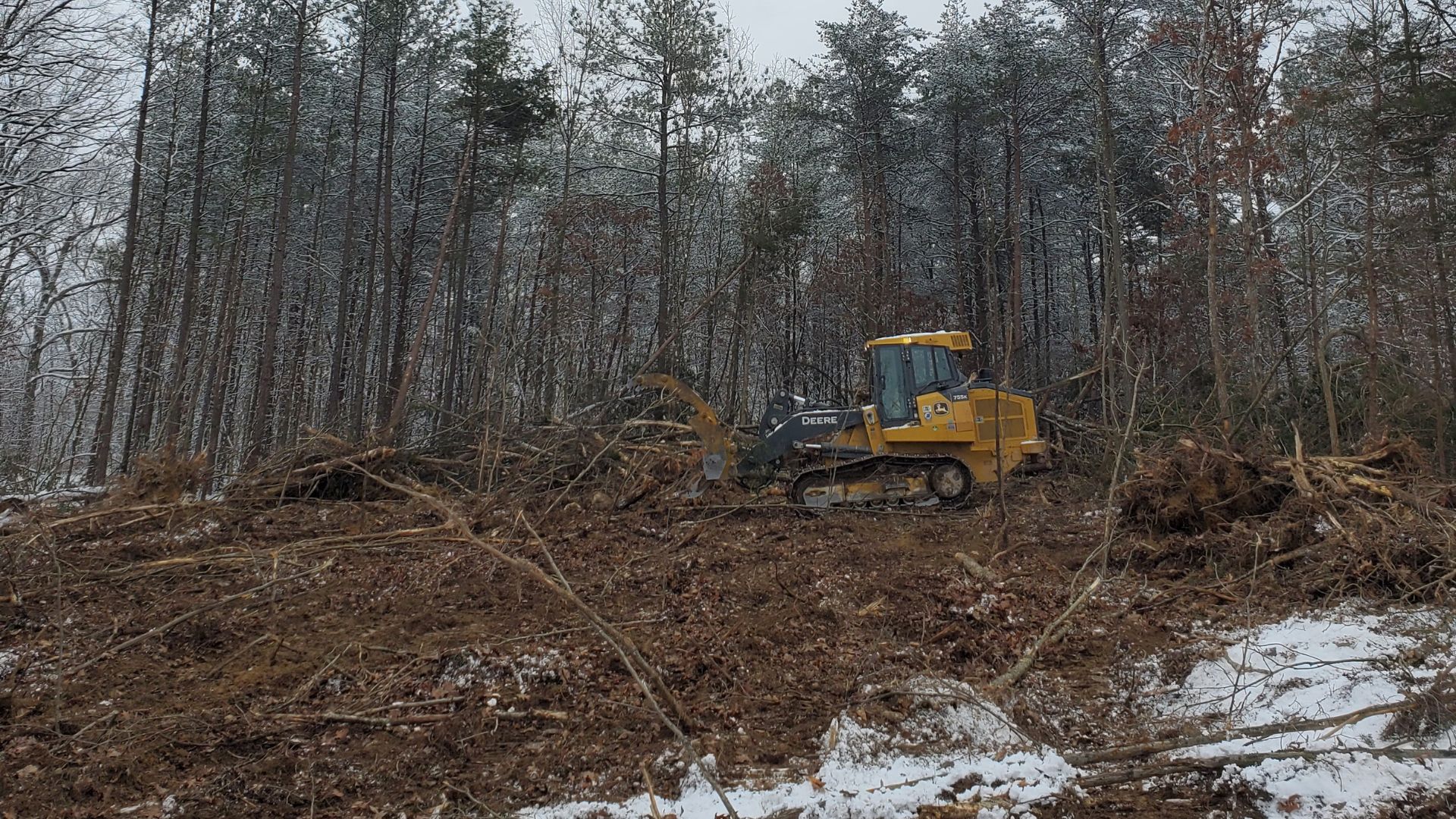 Why Seek Winter Brush Cutting Brush Cutting Washington VA