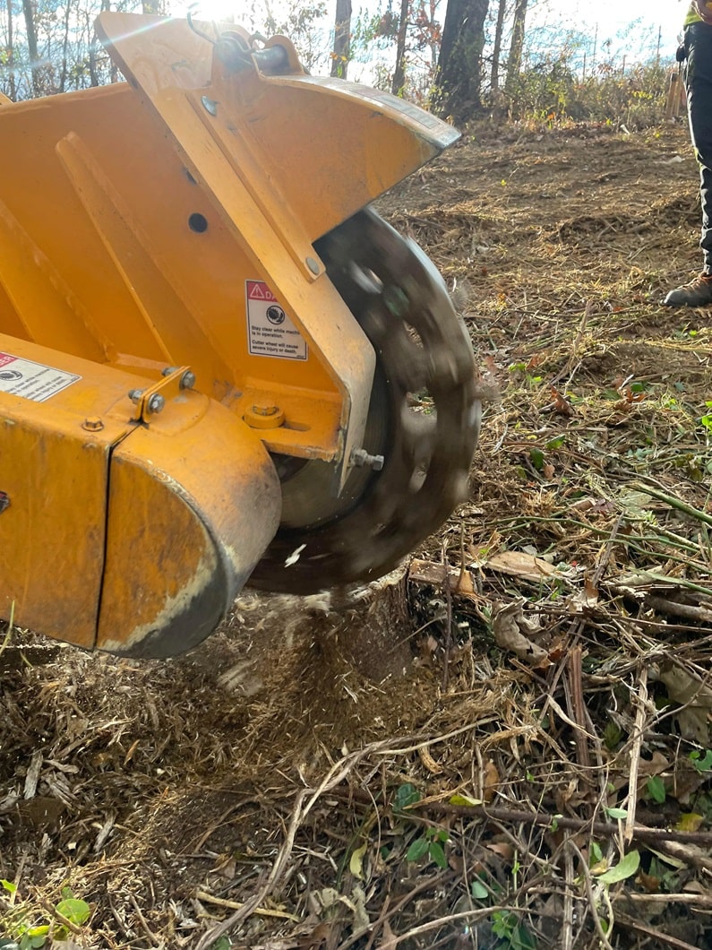 Burning Stumps Safely Stump Grinding Services Chantilly VA