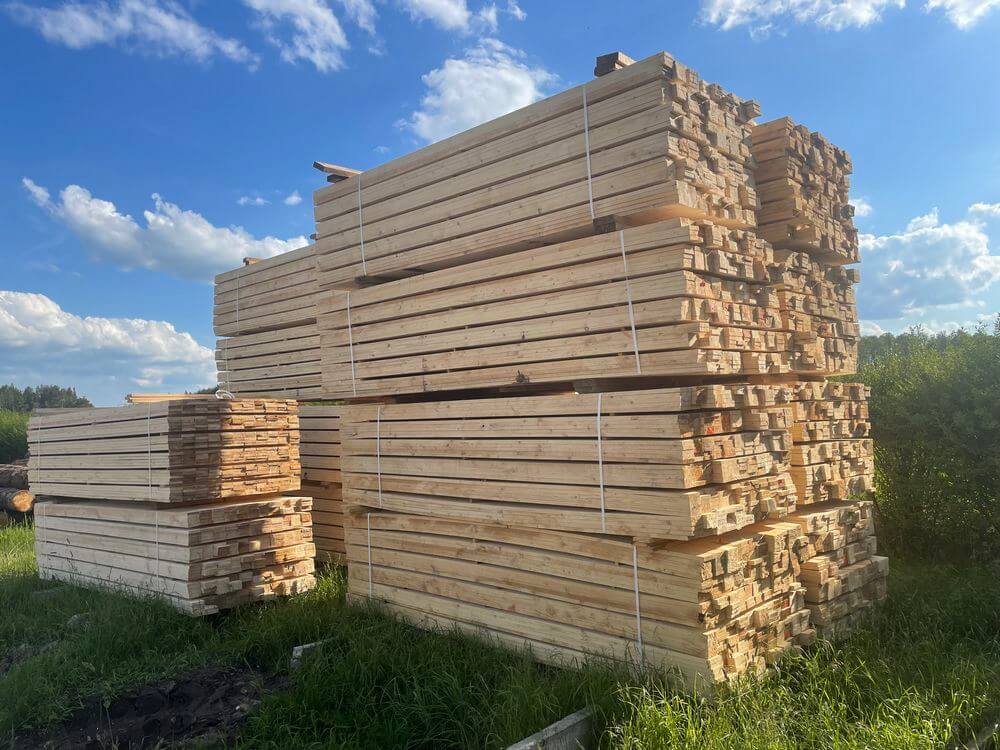 Strona główna Timber World