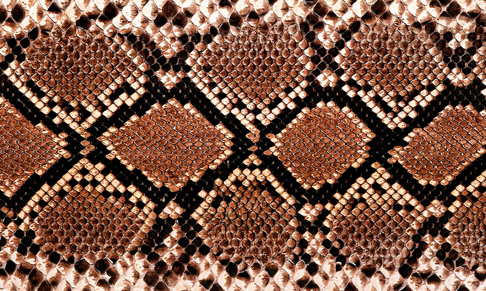 Estampado de piel de serpiente, todo un clásico Timbrados Elda