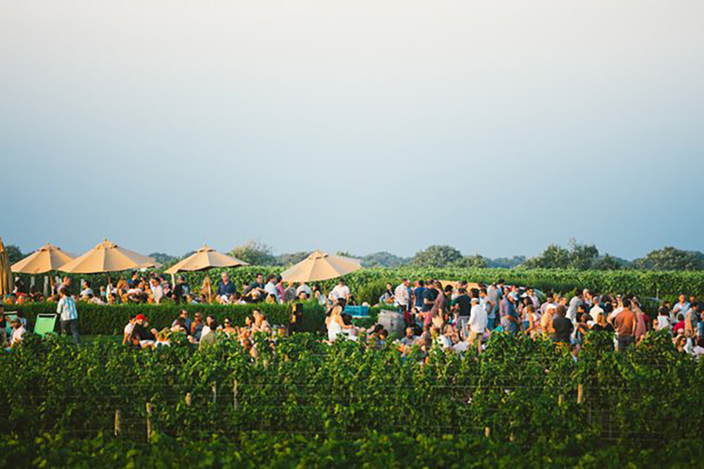 Wolffer Estate Fall and Music Festival of 2019 Tim Davis