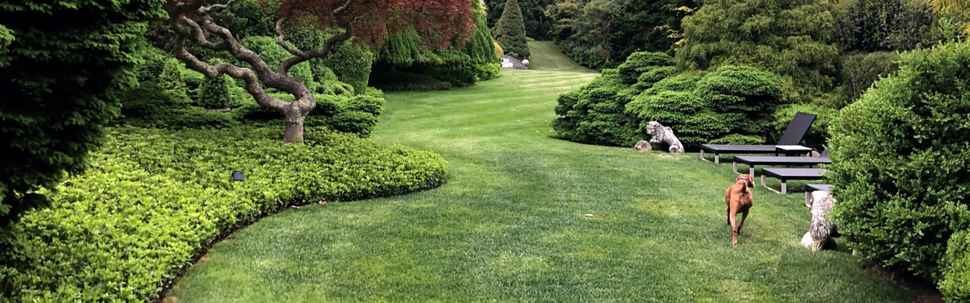 Guild Hall's Garden as Art Tim Davis